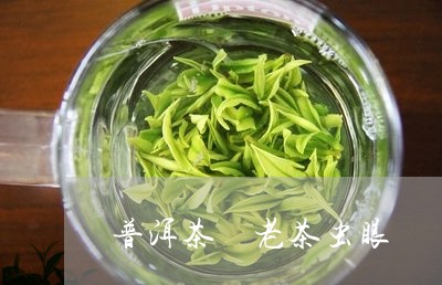 普洱茶 老茶虫眼/2023041225360